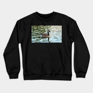 Canada Goose Swimming In The Water. Crewneck Sweatshirt